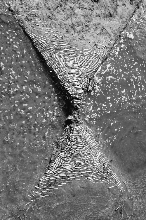 Chronique Sable Hugh Dutton