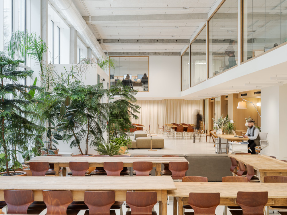 Mars Architectes